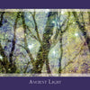An abstract tree-branch image with sparkling lights and shimmering texture, bordered in purple and titled "Ancient Light," evokes inspiration—perfect for Gaia's Vision Oracle Cards by Schiffer Publishing, Ltd.
