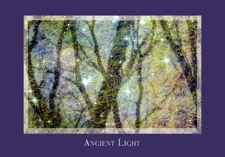 An abstract tree-branch image with sparkling lights and shimmering texture, bordered in purple and titled "Ancient Light," evokes inspiration—perfect for Gaia's Vision Oracle Cards by Schiffer Publishing, Ltd.