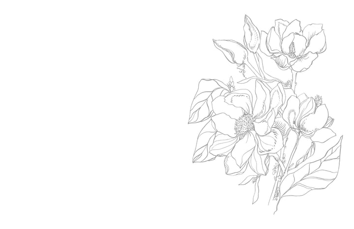 A black and white line drawing of blooming magnolias and leaves from Kristy's Spring Cutting Garden by Schiffer Publishing, Ltd. appears on the right of a white background, leaving ample blank space on the left.