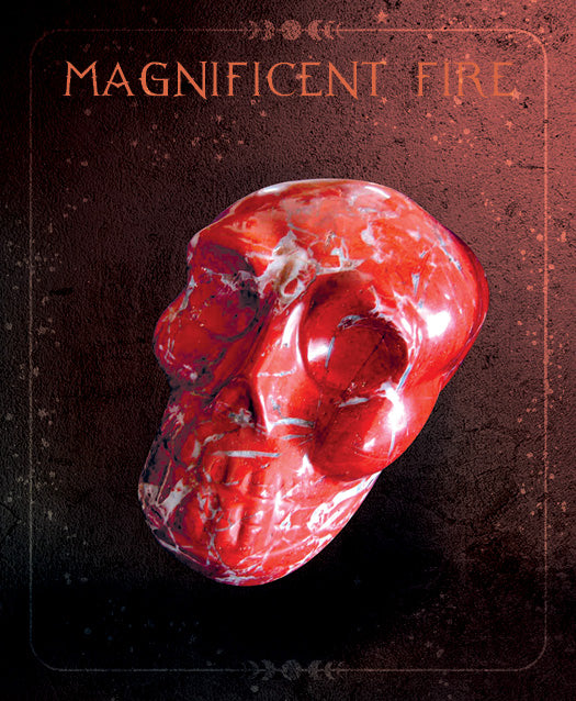 A polished red crystal skull with white streaks sits centered on a dark background. Above, “Oracle of the Crystal Skulls” by Schiffer Publishing, Ltd. is displayed in bold orange text, evoking mystery and spiritual evolution.