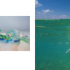A sea turtle surfaces in a split-view photo from "Beaches" by Schiffer Publishing, Ltd.; blurred glass and text on the left highlight sea glass and the turtle’s ascent in Amy Dykens’ signature beach photography style.