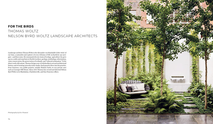 Repose in the Metropolis by Schiffer Publishing, Ltd. showcases a tranquil outdoor oasis with tall trees, lush ferns, a circular daybed with cushions, and a modern water feature set on a stone patio contrasting the greenery.