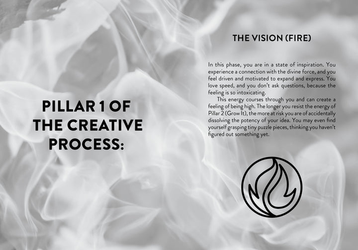 A grayscale image with swirling smoke. Left: bold text reads Pillar 1 of The Elements of Becoming a Successful Astrologer. Right: text titled The Vision (Fire) describes inspiration, with a flame icon, from Schiffer Publishing, Ltd.