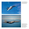 Top: A grey Schiffer Publishing, Ltd. F-15 Eagle jet soars upward in a blue sky. Bottom: Another F-15 Eagle, marked “011,” flies straight beneath clear skies; its twin engines are visible from above.