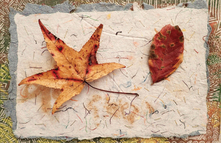 Inspired by “The Cumulative Cloth, Dry Techniques” from Schiffer Publishing, Ltd., two dried autumn leaves on handmade paper with colorful fibers provide ideas for dry textile surface design against an earthy patterned background.