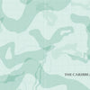 Abstract green and blue map-style illustration with grid lines and contours, evoking maritime mystery. "THE CARIBBEAN SEAS" is in the lower right. From Atlas of Shipwrecks and Fortunes of the Sea by Schiffer Publishing, Ltd.; no landmasses defined.
