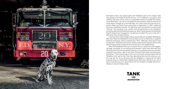 A Dalmatian sits before a red FDNY truck numbered 20 in a dim firehouse. “Paws of Firefighters” by Schiffer Publishing, Ltd. features gear-laden trucks and stories about Dalmatians and New York firefighters on the right.