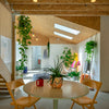 A stylish small room from "The Well-Designed Accessory Dwelling Unit" by Schiffer Publishing, Ltd. features a round table, yellow chairs, hanging plants, large windows, a wooden staircase, and sunlight brightening cozy green seating.