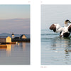 Left: Wooden boathouses and a lighthouse reflect at sunset; right: an eider duck flaps on calm water—iconic Maine scenes featured in "Maine" by Schiffer Publishing, Ltd., ideal for photography lovers or as a unique Maine souvenir.