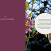 Left: Purple background with "1 Magical Fairy Homes and Gardens" in white. Right: A Mason jar lantern hangs from a branch near a purple passionflower and circular text notes the rise in enchanting fairy spaces. Brand: Schiffer Publishing, Ltd.