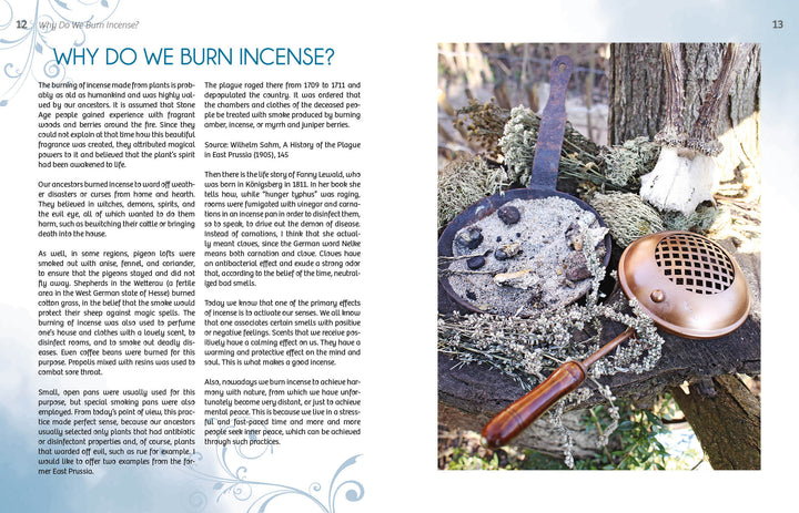 Essence and Ember by Schiffer Publishing, Ltd. features an open metal incense burner with ashes and burned incense on a tree stump, surrounded by dried herbs and resins outdoors—evoking the art of holistic incense crafting.