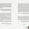 A testimonials page for The Awakening Tarot by Schiffer Publishing, Ltd., featuring endorsements from tarot experts on its insights into elemental spirituality. Light textured background with a detailed bee illustration at the bottom right corner.
