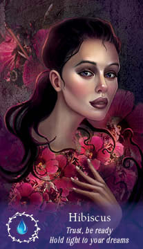 A stylized woman with dark hair and bold makeup, inspired by The Flowerwise Oracle from Schiffer Publishing, Ltd., is surrounded by pink hibiscus flowers. Text below reads: Hibiscus. Trust, be ready. Hold tight to your dreams. A blue water drop icon appears.
