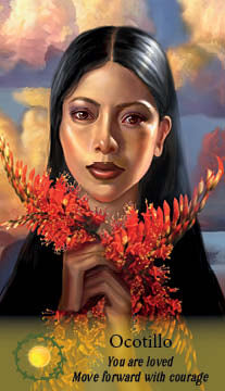 A woman with long black hair holds red ocotillo flowers under a cloudy sky. Below, text reads: Ocotillo. You are loved. Move forward with courage—a message from The Flowerwise Oracle by Schiffer Publishing, Ltd.