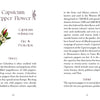 Two pages from a botanical guidebook describe the Capsicum pepper flower. The left discusses its history; the right details cultivation and types. Decorative borders frame the text, similar to Schiffer Publishing's The Flowerwise Oracle cards.