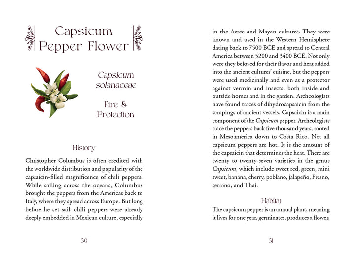 Two pages from a botanical guidebook describe the Capsicum pepper flower. The left discusses its history; the right details cultivation and types. Decorative borders frame the text, similar to Schiffer Publishing's The Flowerwise Oracle cards.