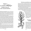 An open book shows "Land Healing" by Schiffer Publishing, Ltd. Chapter 4 covers energy, ritual, and earth blessings, with text and an ornate tree illustration on the left, plus two more trees and people beneath them on the right.