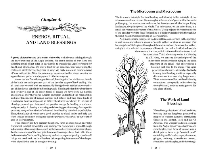 An open book shows "Land Healing" by Schiffer Publishing, Ltd. Chapter 4 covers energy, ritual, and earth blessings, with text and an ornate tree illustration on the left, plus two more trees and people beneath them on the right.