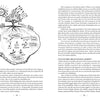 A hand-drawn diagram from Land Healing by Schiffer Publishing, Ltd. shows soil layers, trees, plants, fungi, roots, and organisms, illustrating nutrient cycles, polycultures, soil ecosystems, and earth healing.