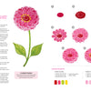 Happy Flower Painting for Beginners by Schiffer Publishing, Ltd. offers a step-by-step acrylic flower painting guide showing how to paint a pink zinnia and green leaves in nine easy stages with illustrations, text instructions, and labeled paint colors—ideal for beginners.