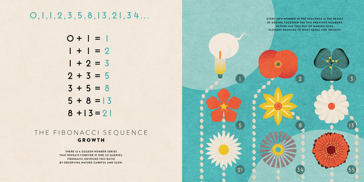 Left side: The Fibonacci sequence is shown as equations. Right side: Colorful flowers and a honeybee with spirals, illustrating how math patterns in nature are great for "The Mathematics of the Universe" by Schiffer Publishing, Ltd.—perfect for STEM resources.