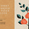A minimalist, geometric cover for "The Mathematics of the Universe" by Schiffer Publishing, Ltd. features orange flowers and green leaves on light beige, golden ratio digits, and 'The Number Phi: Harmony' text on a brown background—ideal for STEM education.