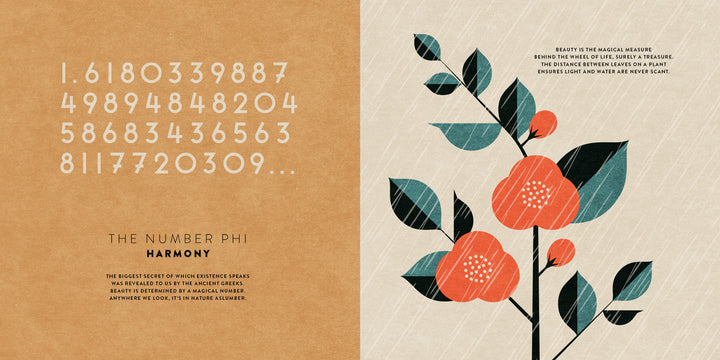 A minimalist, geometric cover for "The Mathematics of the Universe" by Schiffer Publishing, Ltd. features orange flowers and green leaves on light beige, golden ratio digits, and 'The Number Phi: Harmony' text on a brown background—ideal for STEM education.