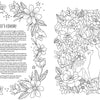 Inspired by Fairy Tales & Folklore Coloring Book from Schiffer Publishing, Ltd., this page features a floral border and left-side text, with two deer among detailed flowers and foliage illustrated on the right.