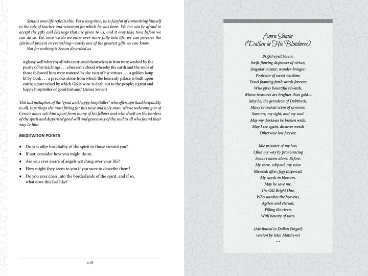 An open book, Voyages with the Celtic Saints by Schiffer Publishing, Ltd., shows Christian meditations on hospitality with reflection points on the left page and a decorative title plus the poem "Avram Sennat (Dwellers of His Boundaries)" on the right.