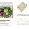 A page from "Adventures in Backyard Gardening" by Schiffer Publishing, Ltd. features text, a photo of mixed leafy greens on a plate, a garden plan, and a handwritten journal—ideal inspiration for gardening and nature education.