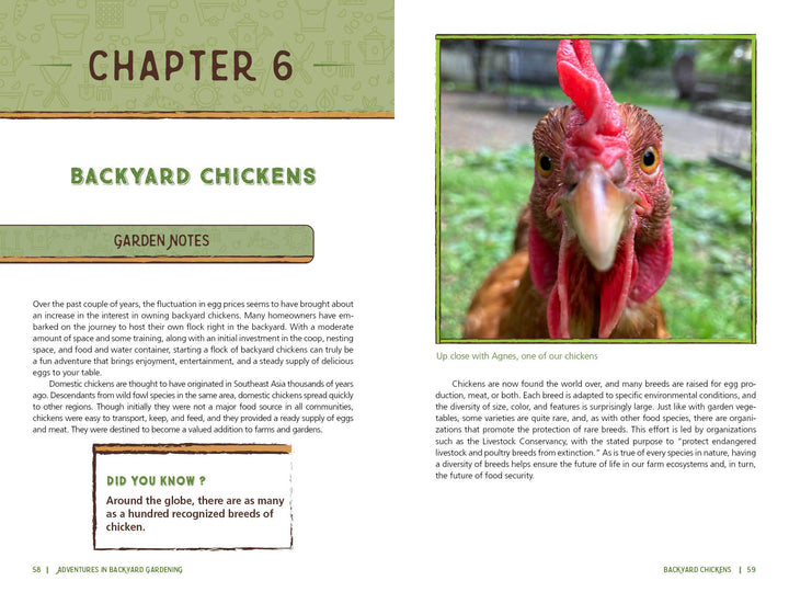 A spread from Schiffer Publishing, Ltd.'s "Adventures in Backyard Gardening" features “Chapter 6: Backyard Chickens”—an up-close chicken photo, text on raising chickens, and a yellow “Garden Notes” box for young gardeners.