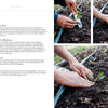 Close-up photos from Schiffer Publishing, Ltd.'s "Sow, Grow, and Harvest" show hands planting a seedling—placing it, adding soil, and patting it down—perfect for flower gardening or DIY bouquets. Irrigation tubing runs in the background.