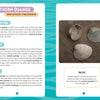 The digital fact sheet in "Seashells of the Jersey Shore" by Schiffer Publishing, Ltd. highlights northern quahogs with images of three shells on the right and details on description, habitat, eating tips, and a fun fact on the left.