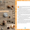 A collage from "Seashells of the Jersey Shore" by Schiffer Publishing, Ltd. displays diverse Jersey Shore gastropod shells on sand, with a text guide at right identifying seashells and describing their unique features.