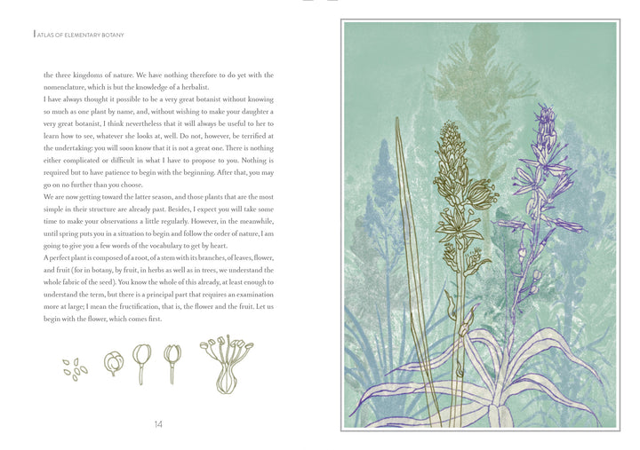 An illustrated page from *Atlas of Elementary Botany* by Jean-Jacques Rousseau (Schiffer Publishing, Ltd.) shows pastel botanical drawings of grasses and flowers, detailed sketches, and text inspired by Rousseau’s letters.