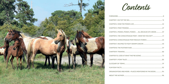 Five Chincoteague Ponies stand on green grass with trees behind them. To the right, the table of contents for "Out of the Sea" by Schiffer Publishing, Ltd. appears in a white box with green and black text, recalling Misty and Pony Penning events.