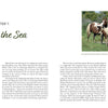 Wild Chincoteague Ponies graze by trees in a grassy field in "Out of the Sea" by Schiffer Publishing, Ltd. The left page features the chapter title and text; the right shows more text and a photo caption: "A current-life band of mares.