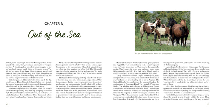 Wild Chincoteague Ponies graze by trees in a grassy field in "Out of the Sea" by Schiffer Publishing, Ltd. The left page features the chapter title and text; the right shows more text and a photo caption: "A current-life band of mares.