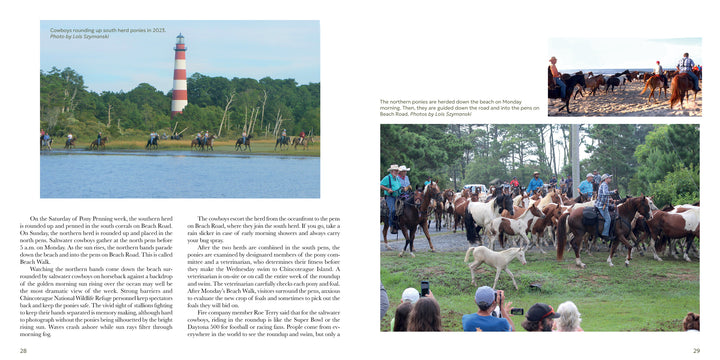 Out of the Sea by Schiffer Publishing, Ltd. features photos of Chincoteague Ponies swimming with riders past a red-and-white lighthouse and crowds watching as ponies are herded during Pony Penning.
