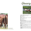 Out of the Sea by Schiffer Publishing, Ltd. features a horse glossary and photos: Chincoteague Ponies in a pasture, horses in a river at Pony Penning, and several showing freeze brands from behind.
