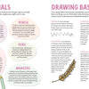 KindKids Let's Draw Nature by Schiffer Publishing, Ltd. is a colorful illustrated guide for kids with drawing lessons, tool images (paper, pencils, pens, markers), tips, and examples like an egg and feather on a decorative background.