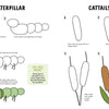 KindKids Let's Draw Nature by Schiffer Publishing, Ltd. is a kids activity book with step-by-step guides to drawing caterpillars and cattails. Enjoy four illustrated steps each, clear instructions, easy lessons, and fun facts for young artists.