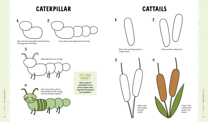 KindKids Let's Draw Nature by Schiffer Publishing, Ltd. is a kids activity book with step-by-step guides to drawing caterpillars and cattails. Enjoy four illustrated steps each, clear instructions, easy lessons, and fun facts for young artists.