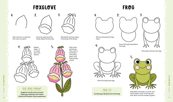 With KindKids Let's Draw Nature by Schiffer Publishing, Ltd., kids can follow easy steps to draw and color a pink foxglove flower and a big-eyed green frog—fun activities that inspire creativity on every page!.