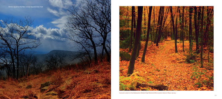 A collage of trees and grass evokes the tranquil scenery of The Appalachian Trail, as featured by Schiffer Publishing, Ltd.