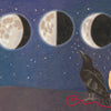 Under a starry sky, a child, a black bird, and a green bunny watch the moon’s phases. The World in Me by Schiffer Publishing, Ltd. celebrates gentle wonder in nature: “I am brilliant and silver. Secret and new—a perfect children’s book moment.”.