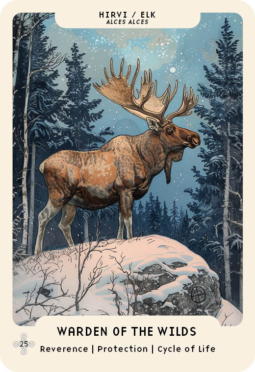 A majestic elk stands on a snowy hill beneath a starry sky, echoing Nordic folklore. The card from Schiffer Publishing’s Nordic Forest Rituals Oracle Cards reads: HIRVI / ELK, WARDEN OF THE WILDS—Reverence | Protection | Cycle of Life.