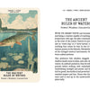 An illustrated pike swims among lake plants, viewed from the side. Below is the text: “The Ancient Ruler of Waters. Power | Wisdom | Connection.” Nordic Forest Rituals Oracle Cards by Schiffer Publishing, Ltd.; Nordic folklore symbolism appears at right.