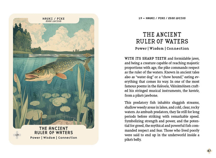 An illustrated pike swims among lake plants, viewed from the side. Below is the text: “The Ancient Ruler of Waters. Power | Wisdom | Connection.” Nordic Forest Rituals Oracle Cards by Schiffer Publishing, Ltd.; Nordic folklore symbolism appears at right.
