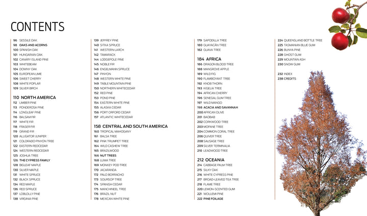 The Trees of the World contents page by Schiffer Publishing, Ltd. lists tree species by region, with text on the left and a red-orange leafless tree and two apples in the top right—an ideal intro for this tree species guide on a white background.